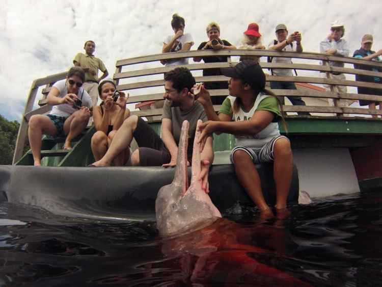 O Que Levar na Mochila Para um Passeio na Amazônia?