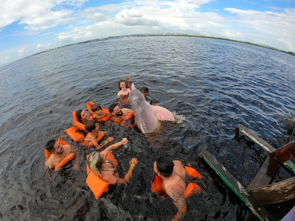 Os Melhores Passeios de Barco para Avistar Botos Cor-de-Rosa na Amazônia.