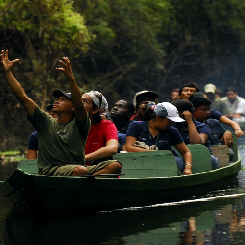 Como Planejar uma Viagem Sustentável para a Amazônia?