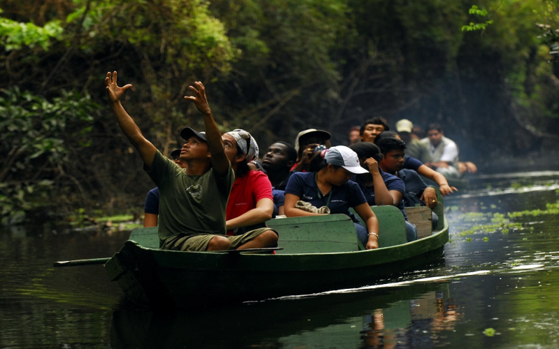 Como Planejar uma Viagem Sustentável para a Amazônia?