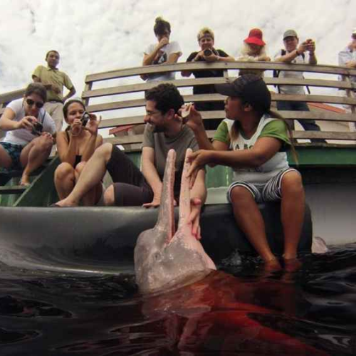 O Que Levar na Mochila Para um Passeio na Amazônia?