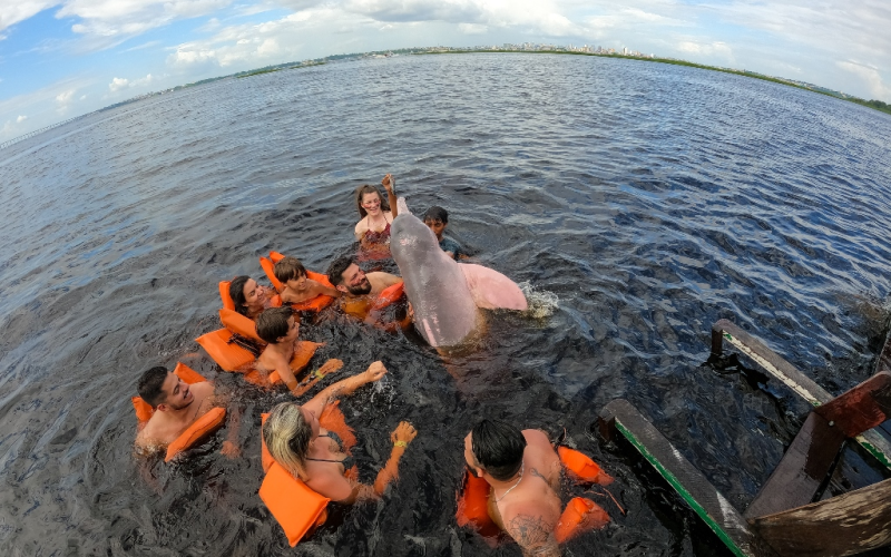 Os Melhores Passeios de Barco para Avistar Botos Cor-de-Rosa na Amazônia.